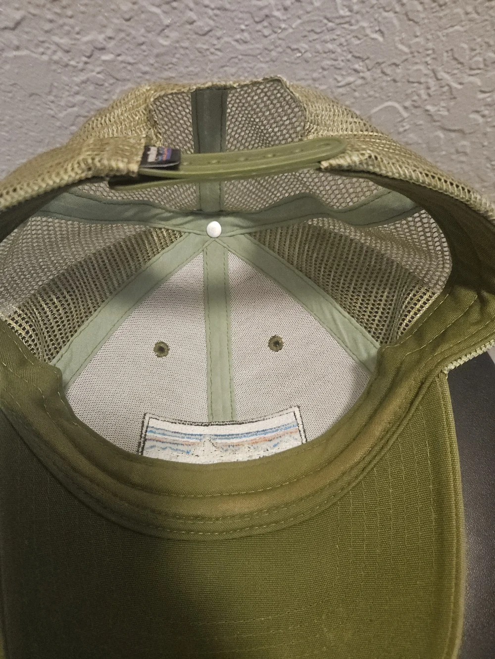 Patagonia Olive Green Trucker Hat